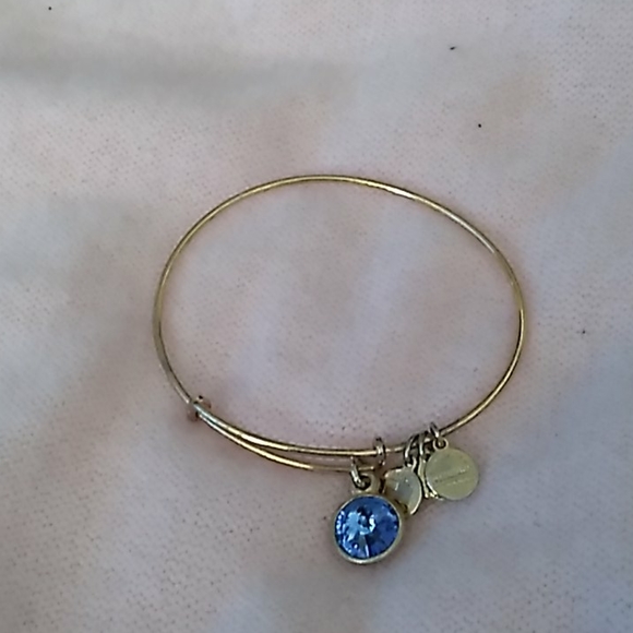 Alex and Ani Jewelry - Alex and Ani Bracelet